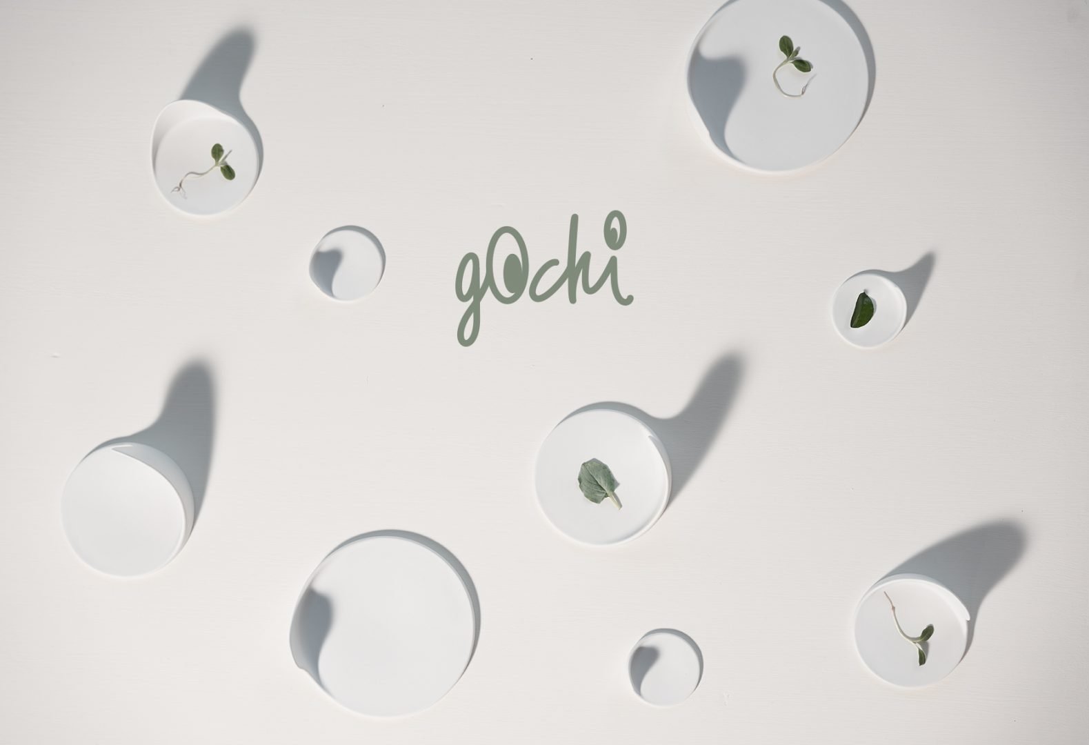 Gochi - nieuw van Cookplay